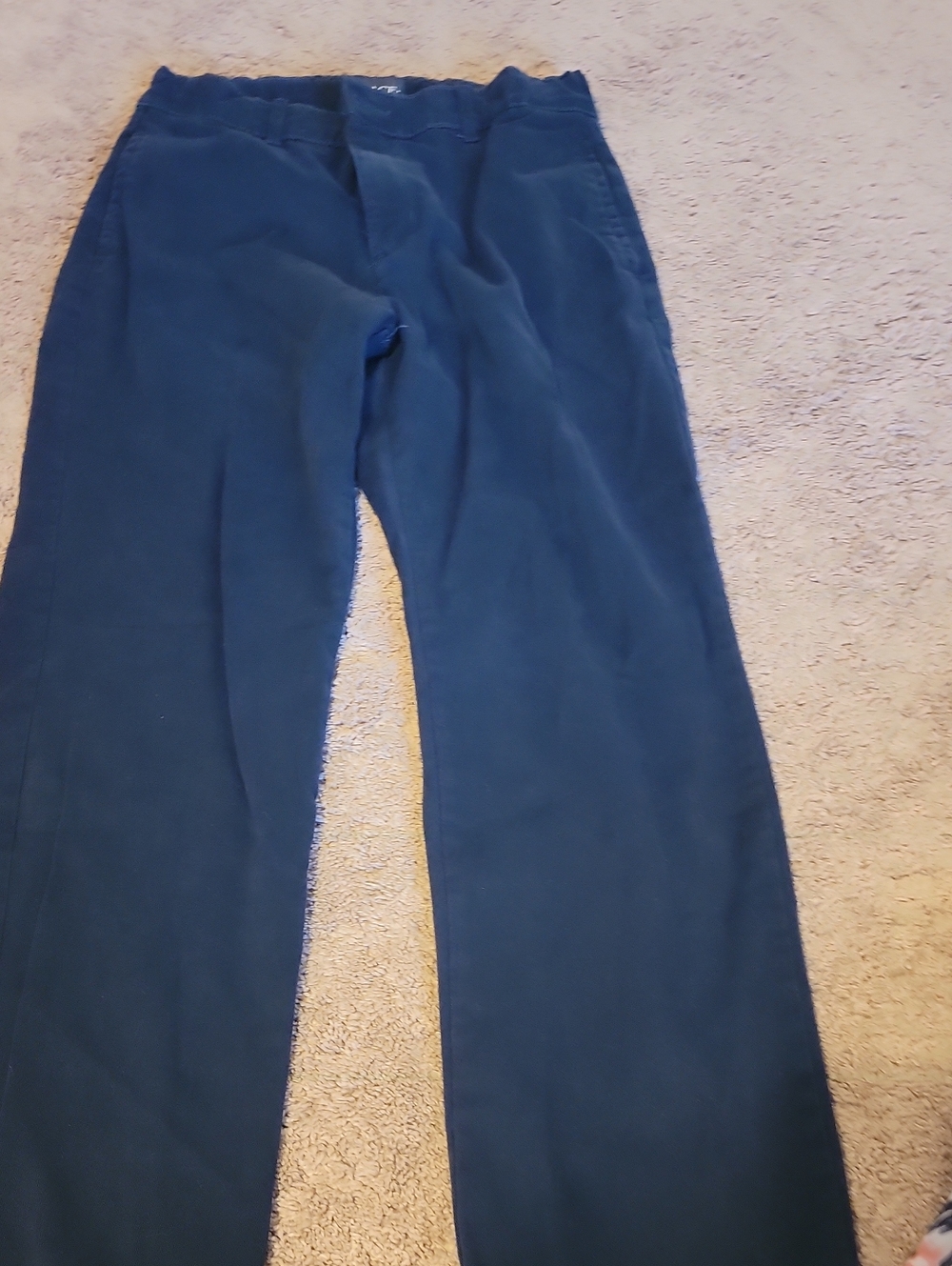 The Children's Place Navy Blue Pull-On Kids Pants 10 Husky